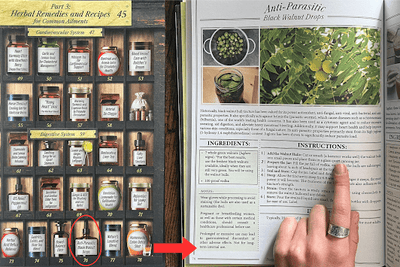 Forgotten Home Apothecary : 250 Powerful Remedies at Your Fingertips - Avenza
