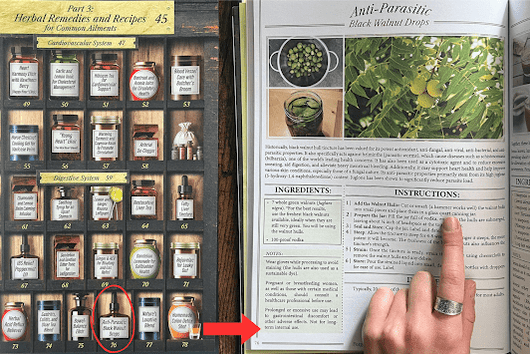 Forgotten Home Apothecary : 250 Powerful Remedies at Your Fingertips - Avenza