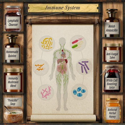 Forgotten Home Apothecary : 250 Powerful Remedies at Your Fingertips - Avenza