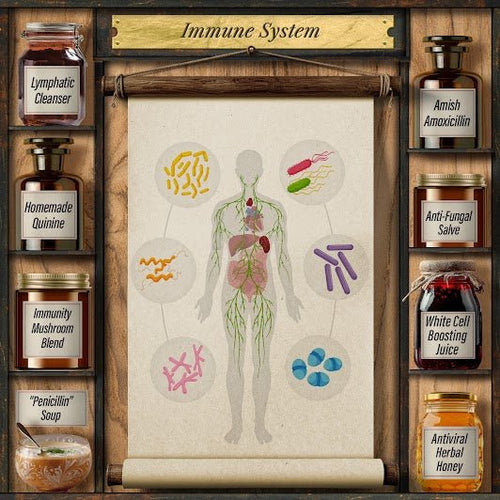 Forgotten Home Apothecary : 250 Powerful Remedies at Your Fingertips