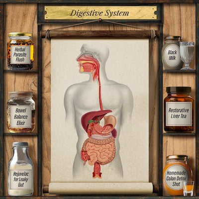 Forgotten Home Apothecary : 250 Powerful Remedies at Your Fingertips - Avenza