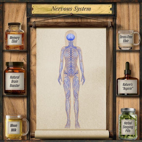 Forgotten Home Apothecary : 250 Powerful Remedies at Your Fingertips