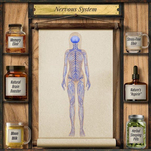 Forgotten Home Apothecary : 250 Powerful Remedies at Your Fingertips - Avenza